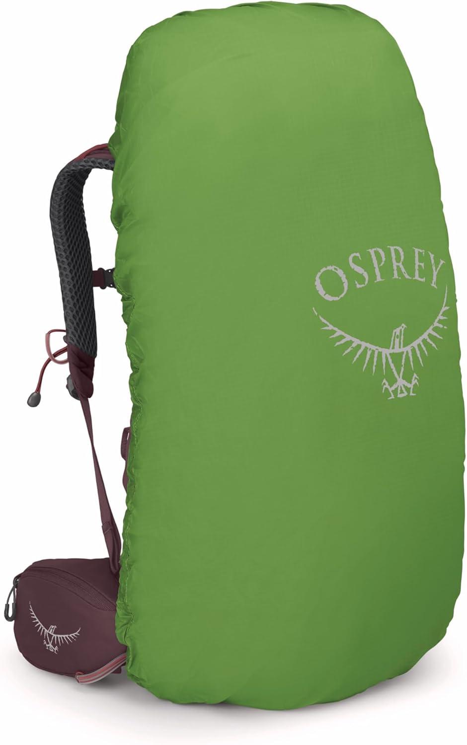 imageOsprey Kyte 48L Womens Backpacking Backpack with Hipbelt Rocky Brook Green WXSSElderberry Purple