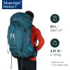 Osprey Atmos AG 65L Men’s Backpacking Backpack, Mythical Green, S/M(Venturi Blue)