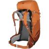 Osprey Ace Kids’ Backpacking Backpack(Orange Sunset)