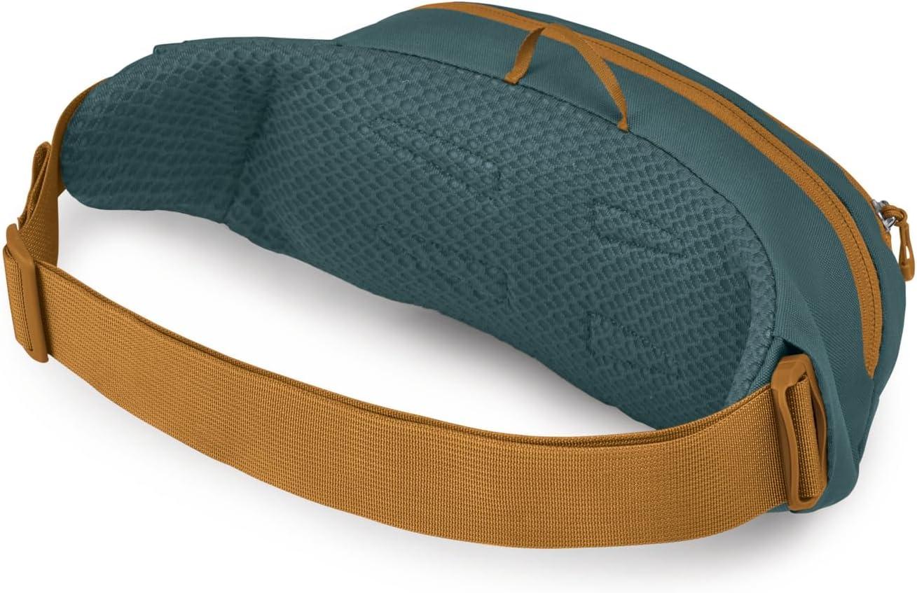 imageOsprey Daylite Waist PackTorrent Blue