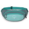 Osprey Daylite Waist Pack(Jetstream Blue)