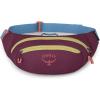 Osprey Daylite Waist Pack(Moody Burgundy)