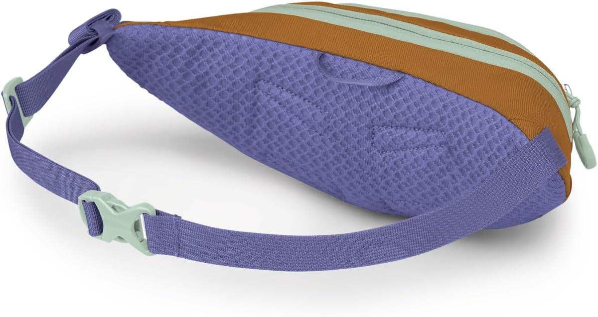 imageOsprey Daylite Mini Waist PackBarley Brown Multi