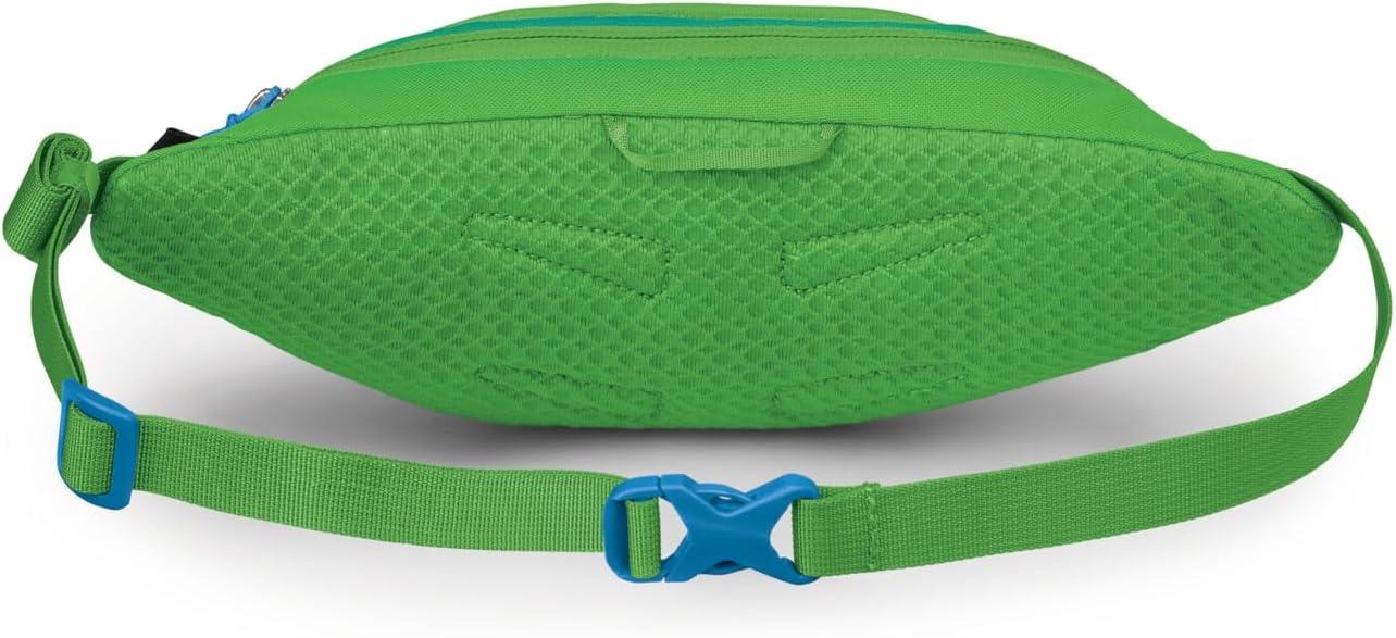 imageOsprey Daylite Mini Waist PackFrost Moon