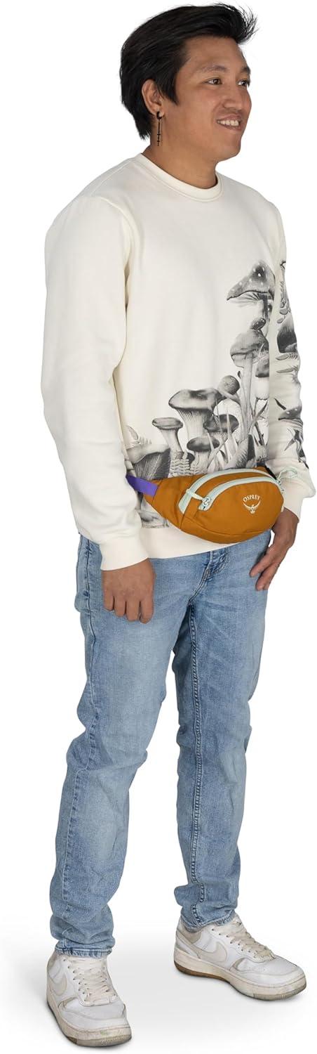 imageOsprey Daylite Mini Waist PackFrost Moon