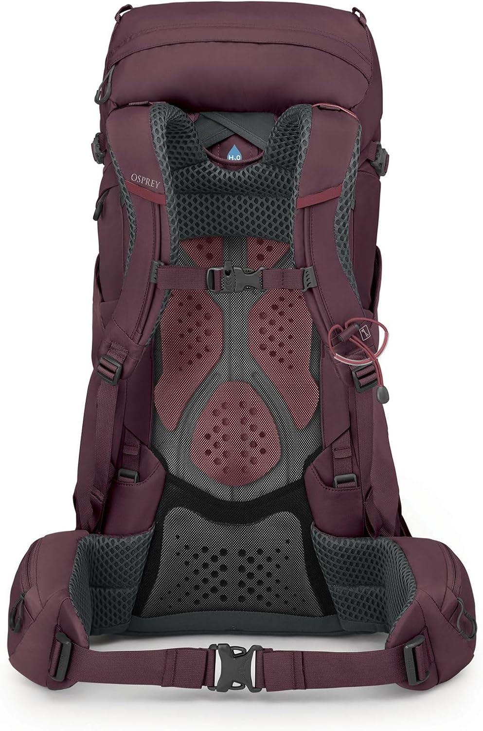 imageOsprey Kyte 38L Womens Backpacking Backpack Serenity Blue Hiking amp Camping Bag with Waterproof Raincover MediumLargeElderberry Purple