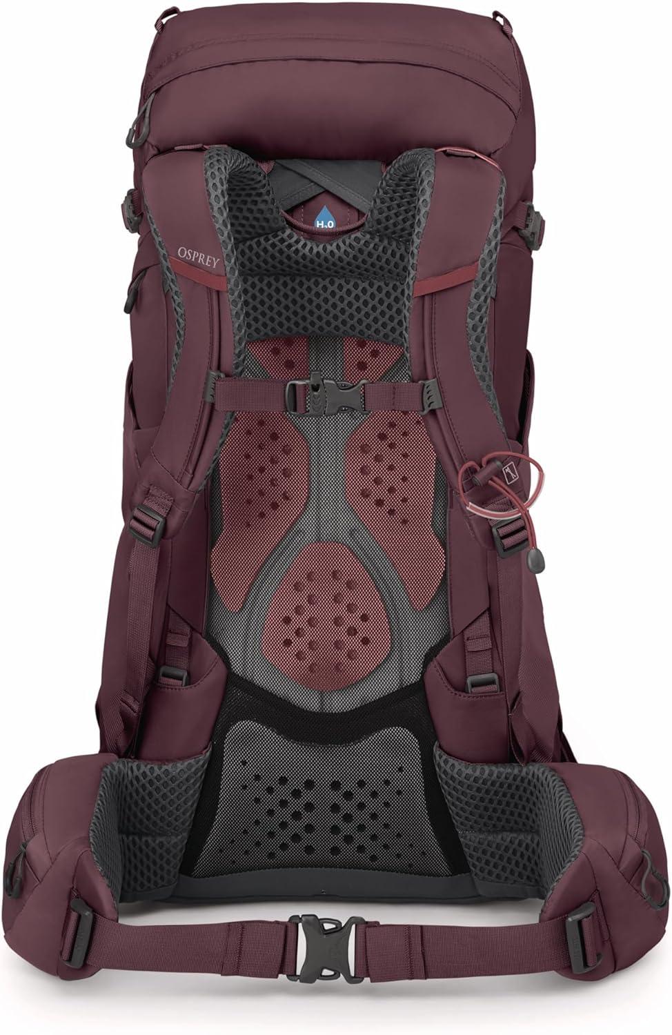 imageOsprey Kyte 38L Womens Backpacking Backpack Serenity Blue Hiking amp Camping Bag with Waterproof Raincover MediumLargeElderberry Purple