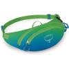 Osprey Daylite Mini Waist Pack(Frost Moon)