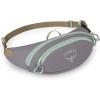 Osprey Daylite Mini Waist Pack(Soundwave Grey)