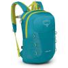 Osprey HydraJet 12L Kids’ Hiking Backpack with Hydraulics Reservoir, Green Canopy(Blue Spikemoss)