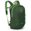 Osprey HydraJet 12L Kids’ Hiking Backpack with Hydraulics Reservoir, Green Canopy(Green Canopy)