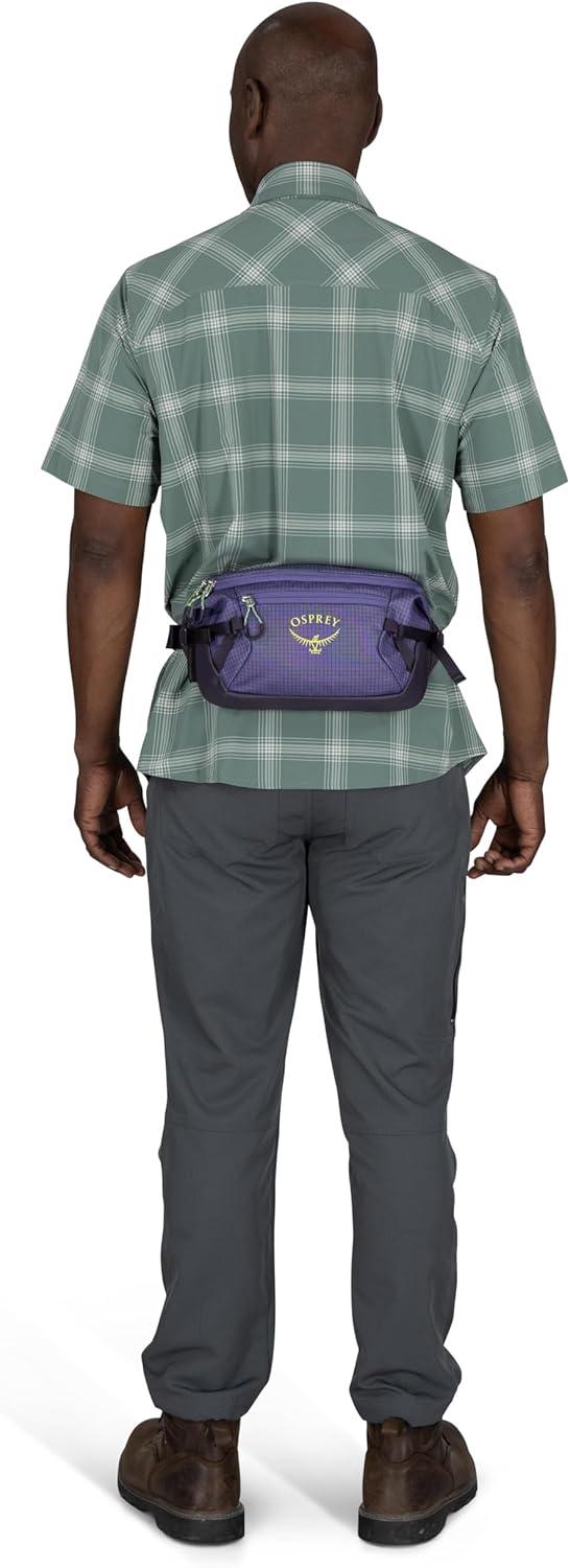 imageOsprey Transporter Commuter Waist Pack Travel Fanny Pack Lightweight Crossbody BagPine LeafEarl Grey