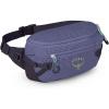Osprey Transporter Commuter Waist Pack – Travel Fanny Pack – Lightweight Crossbody Bag(Euphoria Purple/Purple Ink)