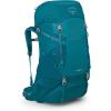Osprey Ace 38L Kids’ Backpacking Backpack, Blue Spikemoss/Deep Peyto(Blue Spikemoss/Deep Peyto)