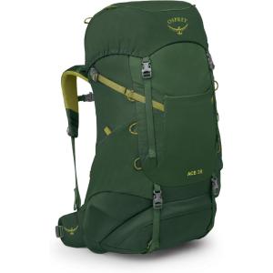 Osprey Ace 38L Kids’ Backpacking Backpack, Blue Spikemoss/Deep Peyto(Green Canopy/Matcha Green)