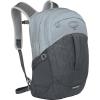 Osprey Comet Laptop Backpack – Dual Compartment Commuter Bag for Laptop & Everyday Essentials, Moss Green/Earl Grey Heather(Silver Lining/Tunnel Vision)