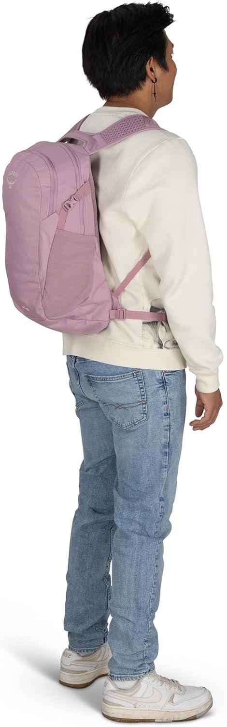 imageOsprey Daylite Commuter Backpack Lightweight Everyday Bag with Laptop Sleeve Bottle PocketsIris Pink
