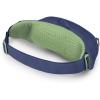 Osprey Daylite Waist Pack – Fanny Pack with Crossbody Shoulder Carry Option – Lightweight Hip Bag(Blue Spikemass/Alkaline)