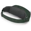 Osprey Daylite Waist Pack – Fanny Pack with Crossbody Shoulder Carry Option – Lightweight Hip Bag(Green Belt/areen Canopy)