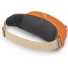 Osprey Daylite Waist Pack – Fanny Pack with Crossbody Shoulder Carry Option – Lightweight Hip Bag(Umber/Tequila Sunrise)