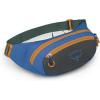 Osprey Daylite Earth Waist Pack for Men and Women, Dark Charcoal/Blue Flame(Dark Charcoal/Blue Flame)