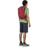 Osprey Skarab 18 Men’s Hiking Hydration Backpack(Mystic Red)