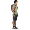 Osprey Skarab 18 Men’s Hiking Hydration Backpack(Mystic Red)