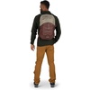 Osprey Quasar 26L Commuter Backpack, Green Tunnel/Brindle Brown(Black)