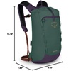 Osprey Daylite Cinch Pistachio OS(Axo Green/Enchantment Purple)