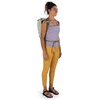Osprey Daylite Cinch Pistachio OS(Meadow Gray/Histosol Brown)